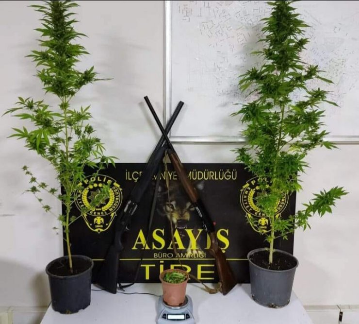 Evinin balkonunda Hint keneviri yetiştirirken yakalandı