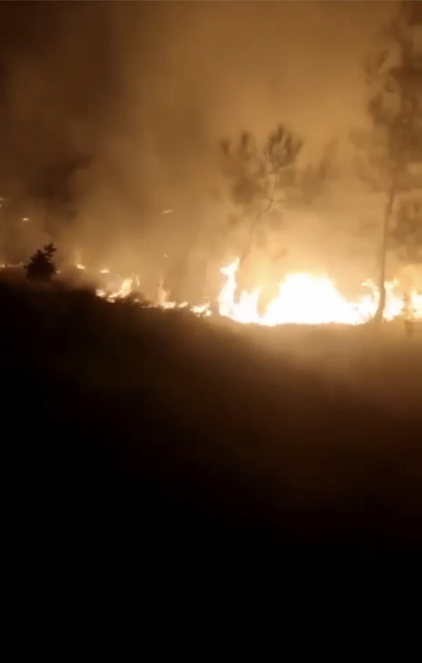 Ormanlık alanda korkutan yangın