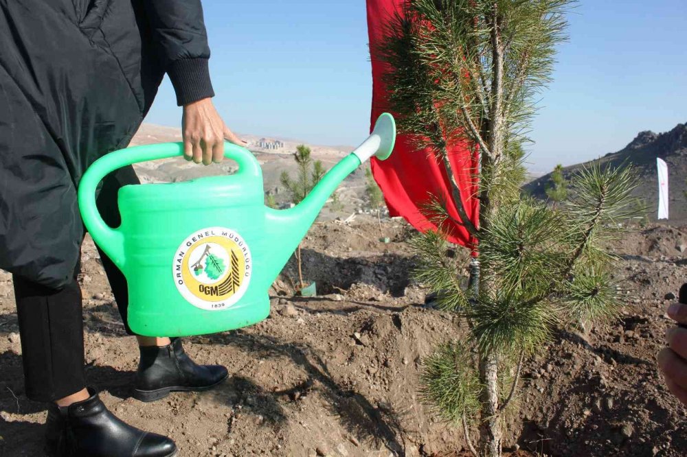 Konya’da 70 bin fidan toprakla buluştu