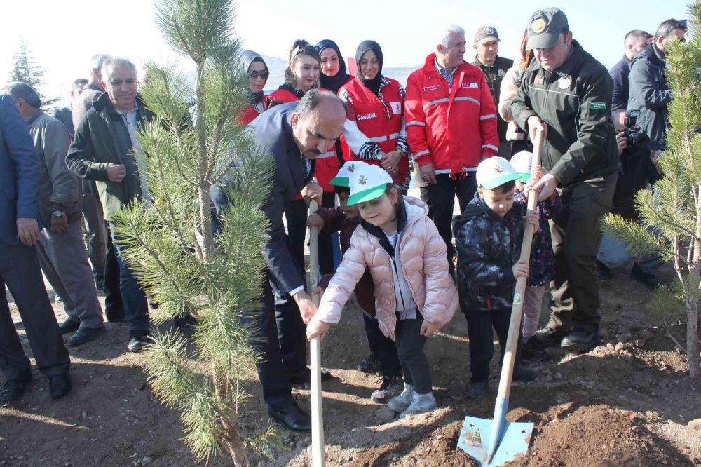 Konya’da 70 bin fidan toprakla buluştu