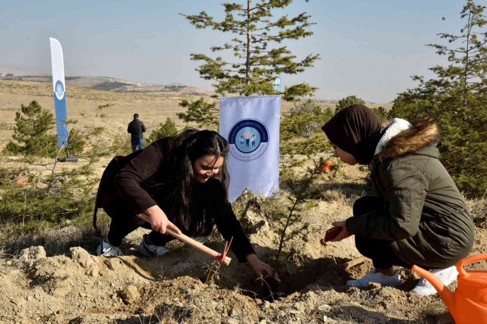 NEÜ Köyceğiz Yerleşkesinde fidanlar toprakla buluştu