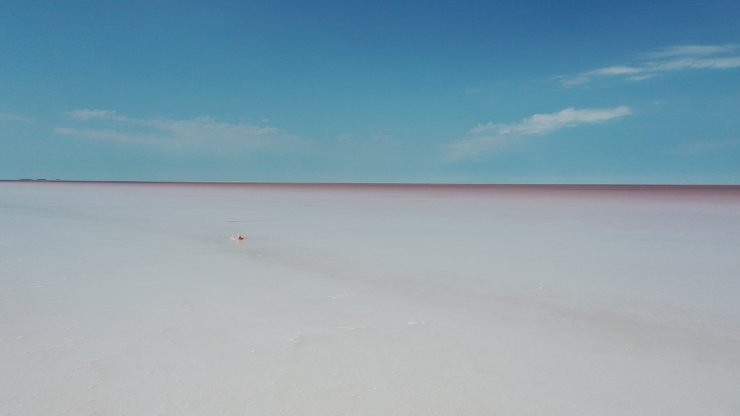 Kuraklıktan etkilenen Tuz Gölü'nde bir sorun daha yaşanıyor