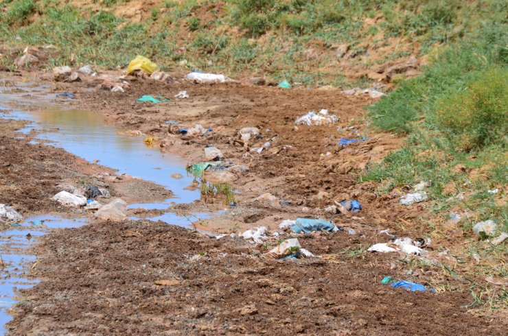 Kuraklıktan etkilenen Tuz Gölü'nde bir sorun daha yaşanıyor
