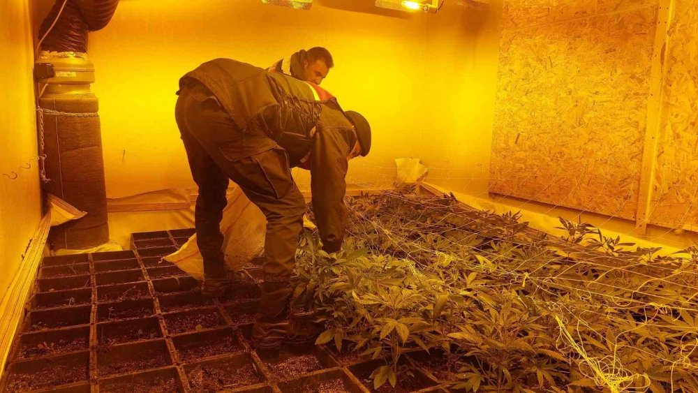 Villa değil uyuşturucu serası