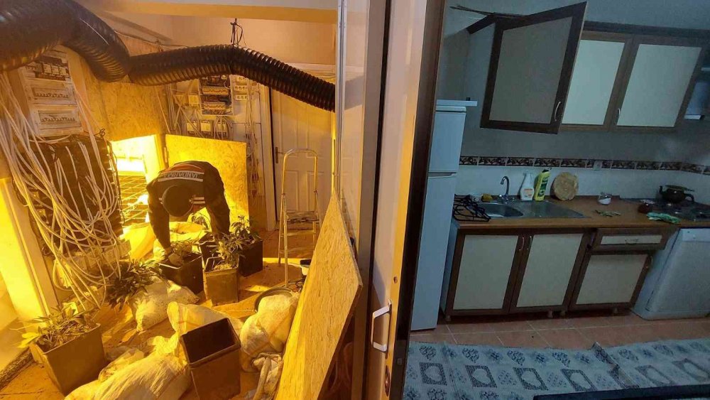 Villa değil uyuşturucu serası