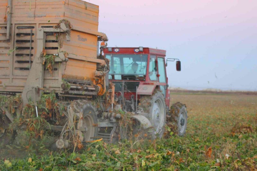 Konya Ovası'nda 1 milyon dekar alanda hasat sürüyor