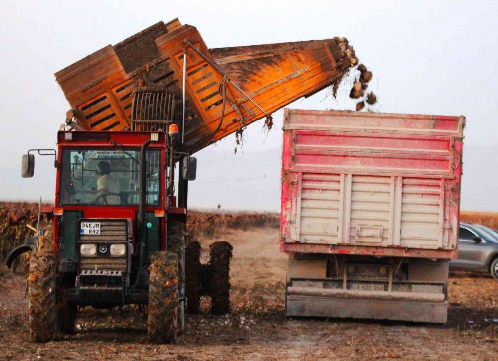 Konya Ovası'nda 1 milyon dekar alanda hasat sürüyor