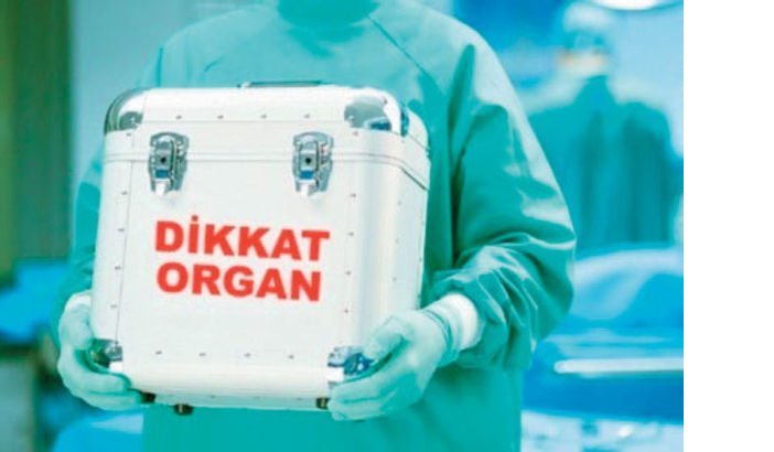 organ-nakli.jpg