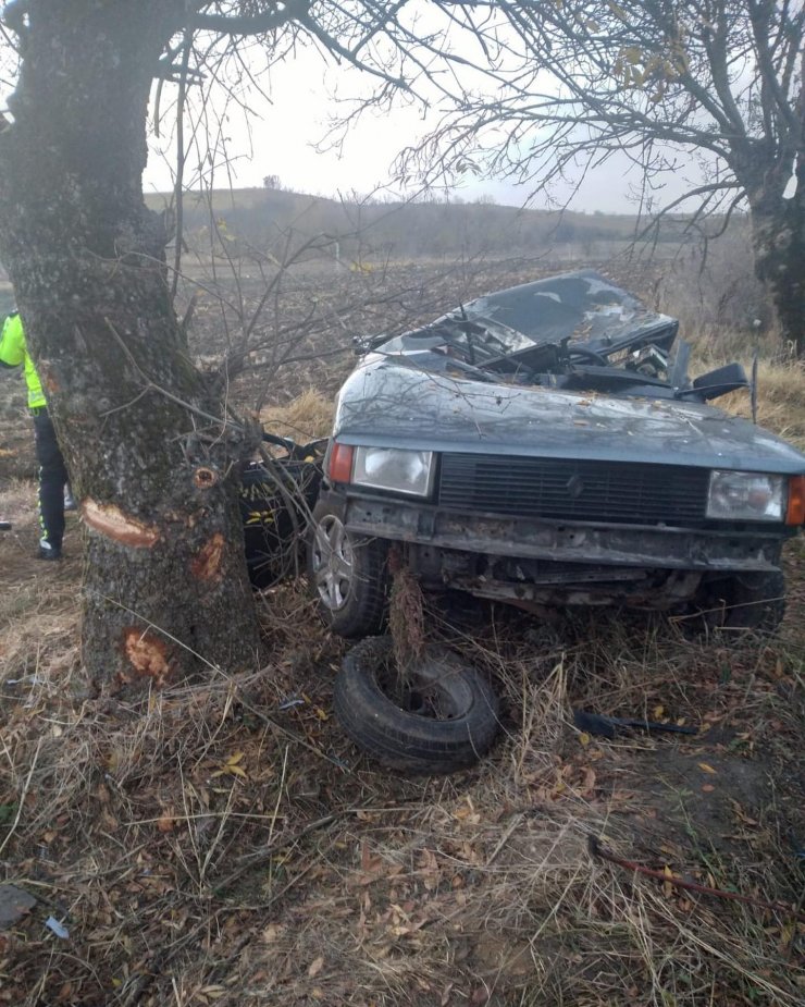 Yol kenarındaki ağaca çarpan otomobilin sürücüsü  öldü