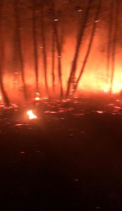 Ormanlık alanda çıkan yangın söndürüldü