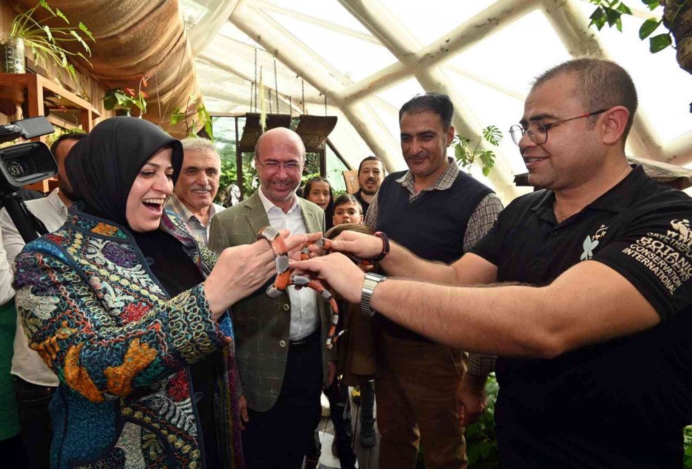 Tropikal Kelebek Bahçesi'ne hayran kaldılar