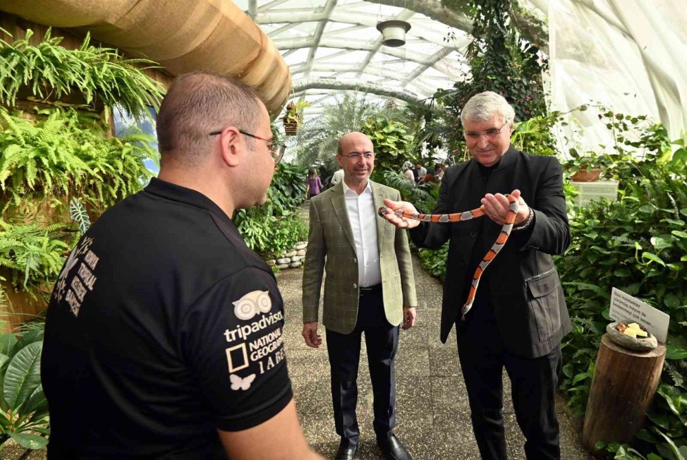 Tropikal Kelebek Bahçesi'ne hayran kaldılar