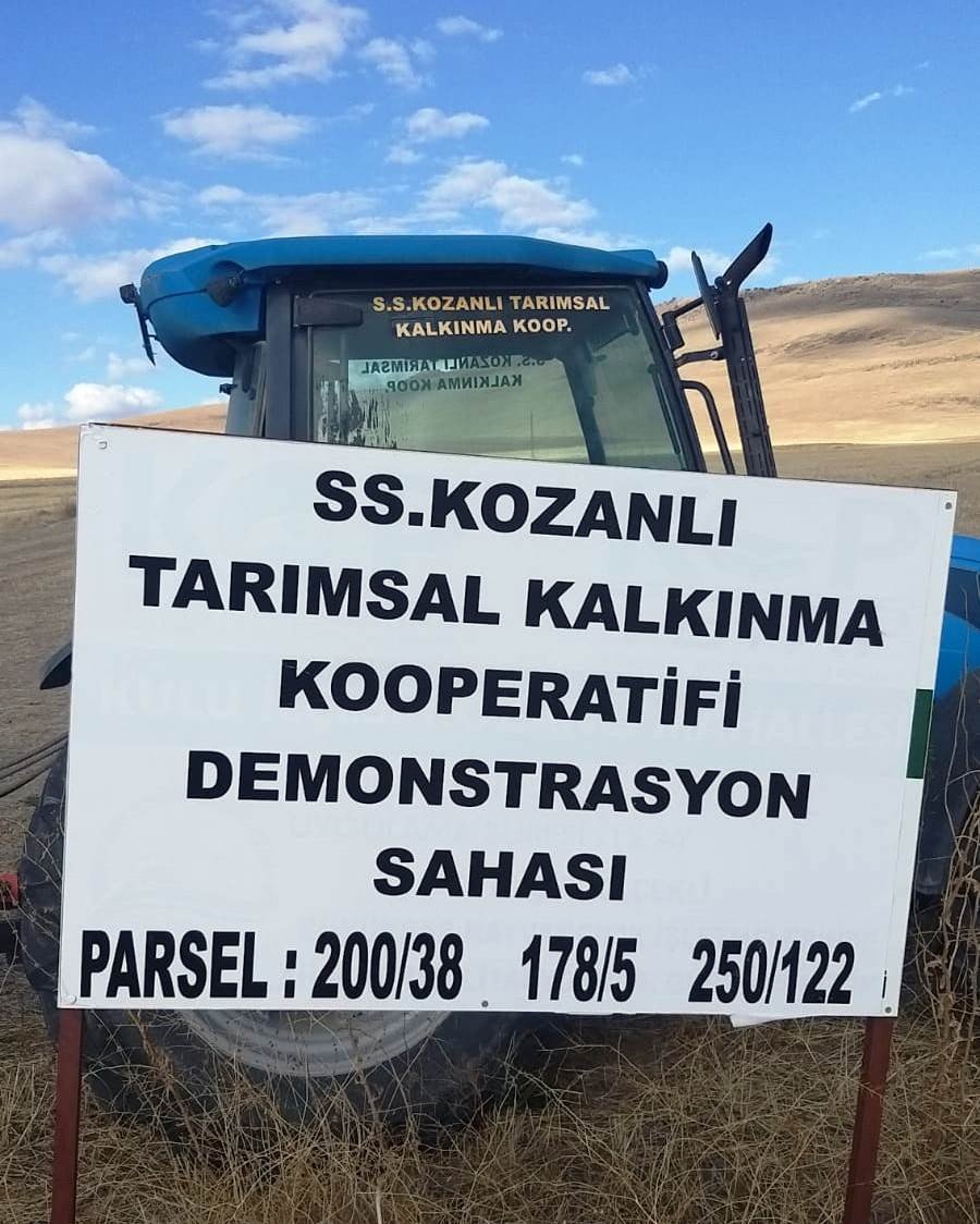 Konya'da arpa ve buğdaya alternatif olacak... Ekimi başladı