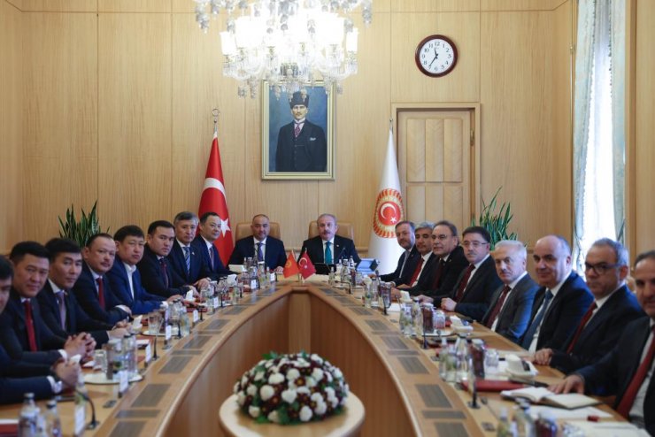 Şentop: Dost ve kardeş ülkeleri FETÖ'ye karşı uyarmaya devam ediyoruz