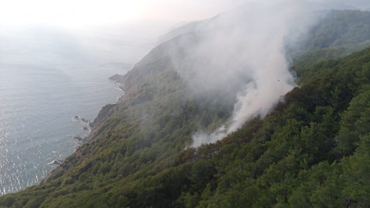 Ormanlık alana düşen yıldırım yangına neden oldu