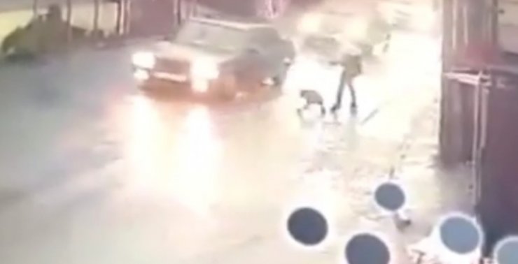 10 yaşındaki çocuğa pitbull saldırdı