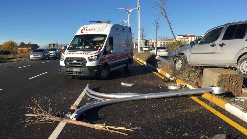 Ağaca çarpan araç asılı kaldı