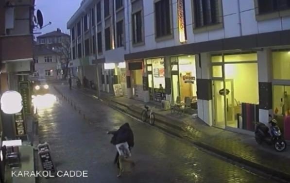 Okuldan dönen çocuğa sokak köpekleri saldırdı