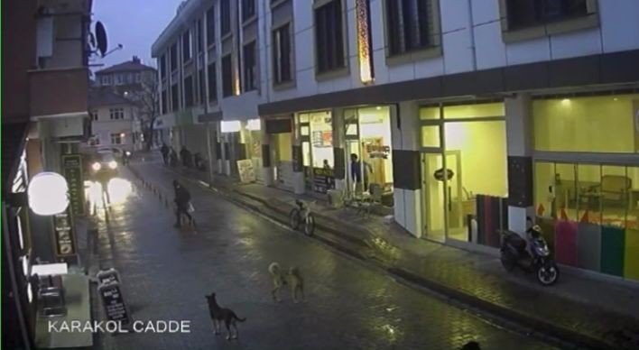 Okuldan dönen çocuğa sokak köpekleri saldırdı