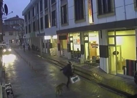 Okuldan dönen çocuğa sokak köpekleri saldırdı