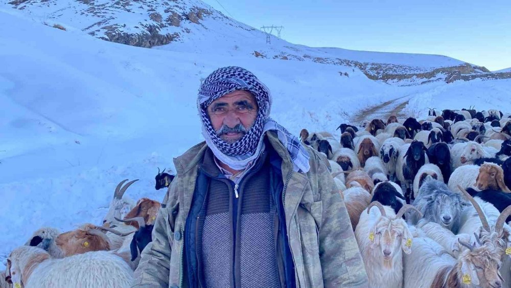 3 bin 500 rakımda mahsur kalan sürü kurtarıldı