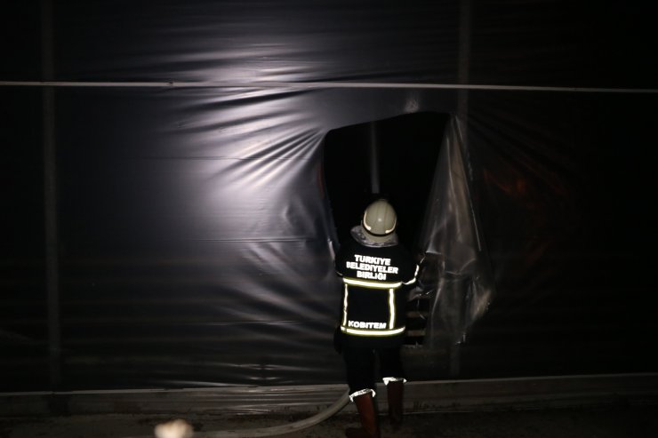 Domates serasında yangın