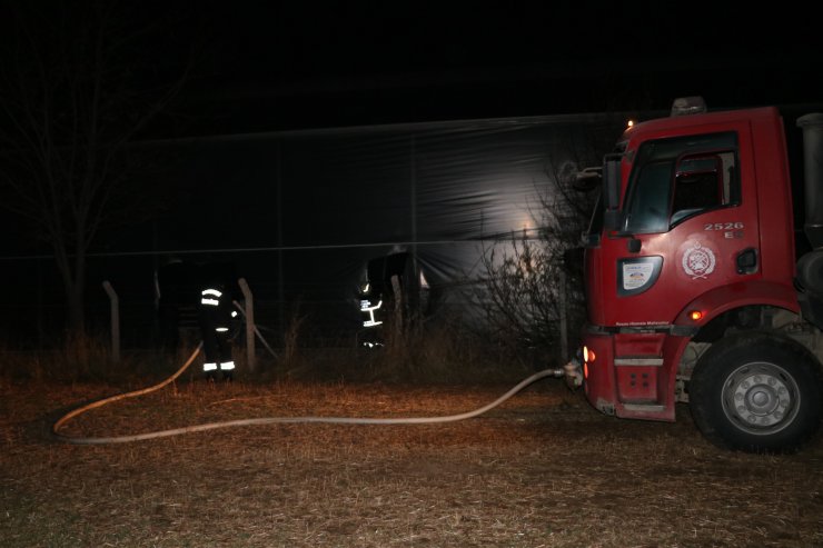 Domates serasında yangın