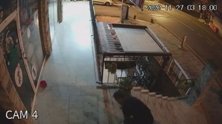 Kan donduran vahşetten yeni görüntü