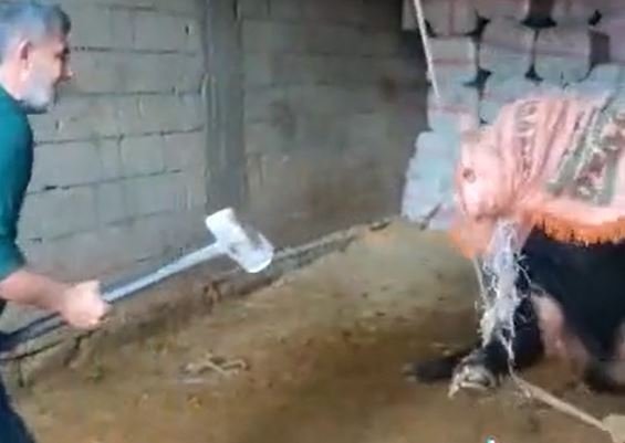 Konya'daki olaydan sonra yürek burkan iki görüntü daha!