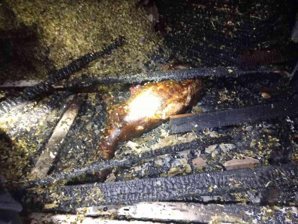 Evdeki yangın ahıra sıçradı, 7 küçükbaş hayvan telef oldu