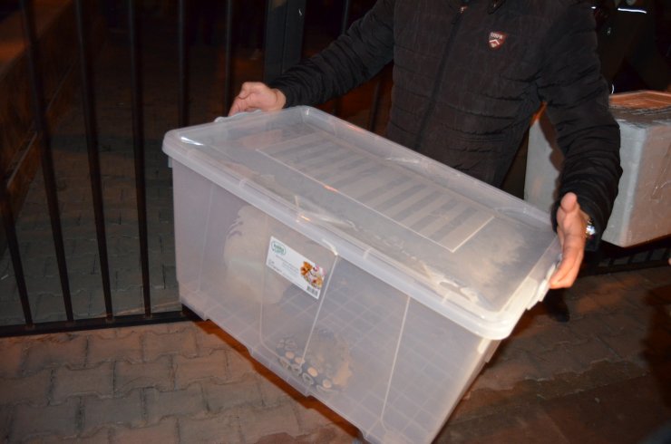 1 kraliyet pitonu ile 10 sakallı ejder Konya'da...