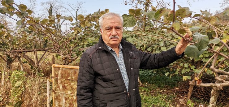 Bu üründen ortalama 70 milyon TL gelir elde edecekler