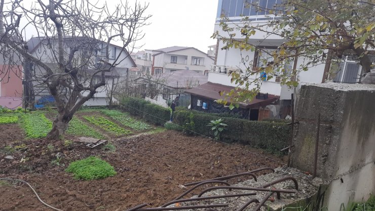 Babasını darbeden kuzenini öldürdü