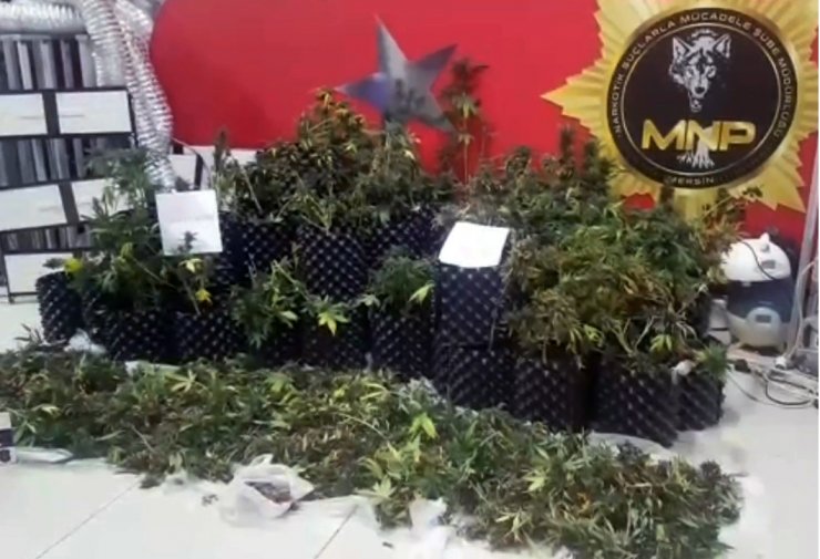 Eve kurulan sistemle uyuşturucu üretmişler