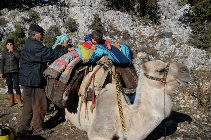Sarıkeçili Yörüklerin Konya'dan güneye yolculuğu sürüyor