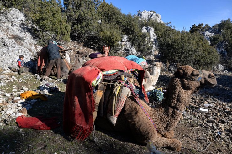 Sarıkeçili Yörüklerin Konya'dan güneye yolculuğu sürüyor