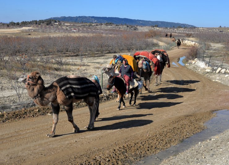 Sarıkeçili Yörüklerin Konya'dan güneye yolculuğu sürüyor