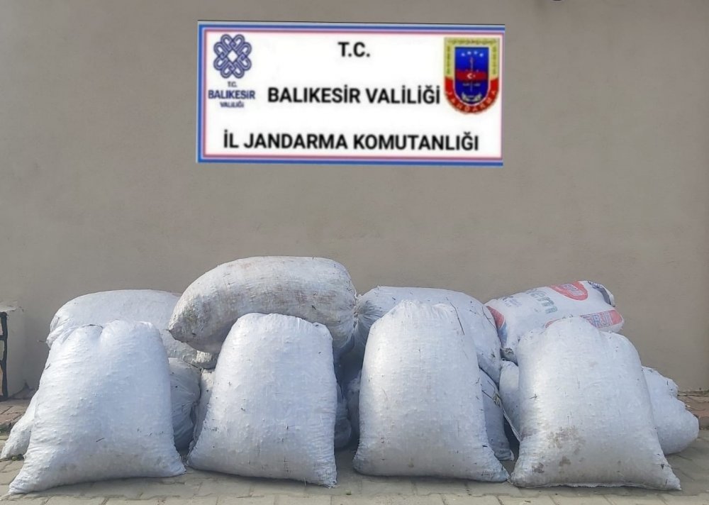 Zeytin hırsızı 18 kişi tutuklandı