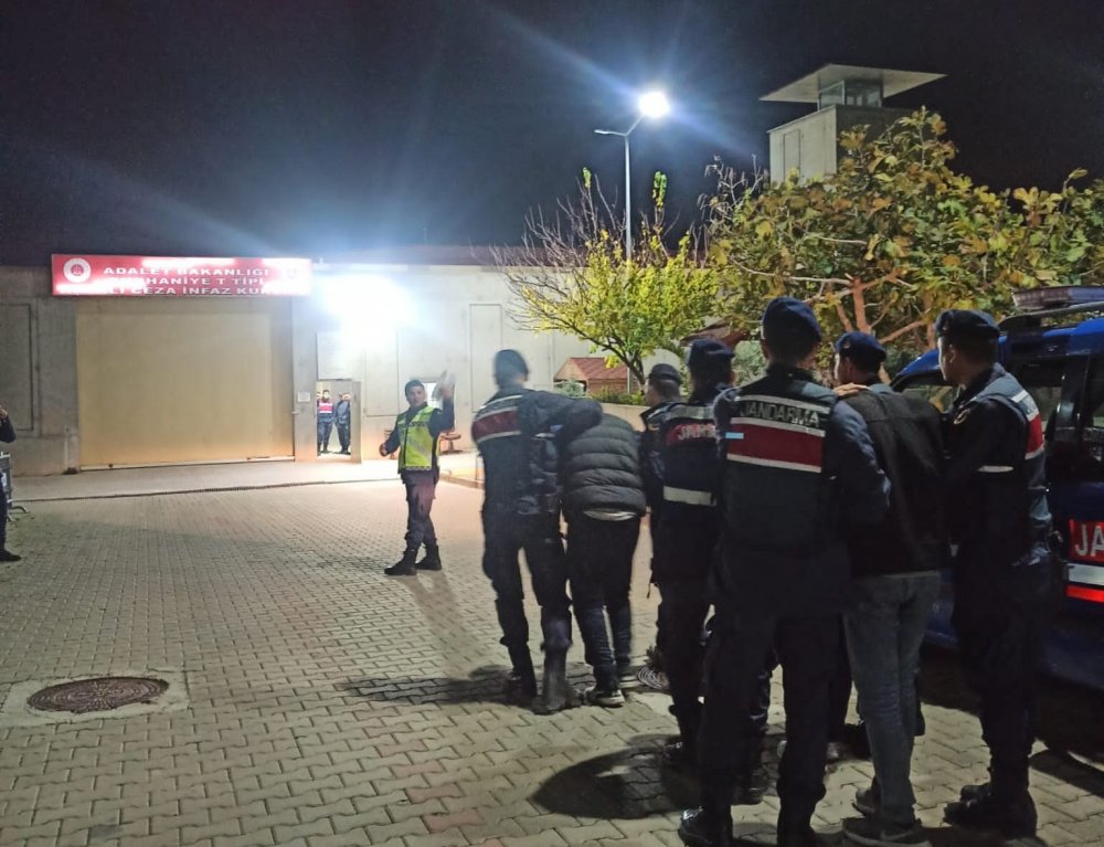 Zeytin hırsızı 18 kişi tutuklandı