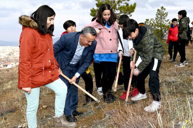Konya'da ortaokul öğrencileri 15 bin meşe palamudu dikti