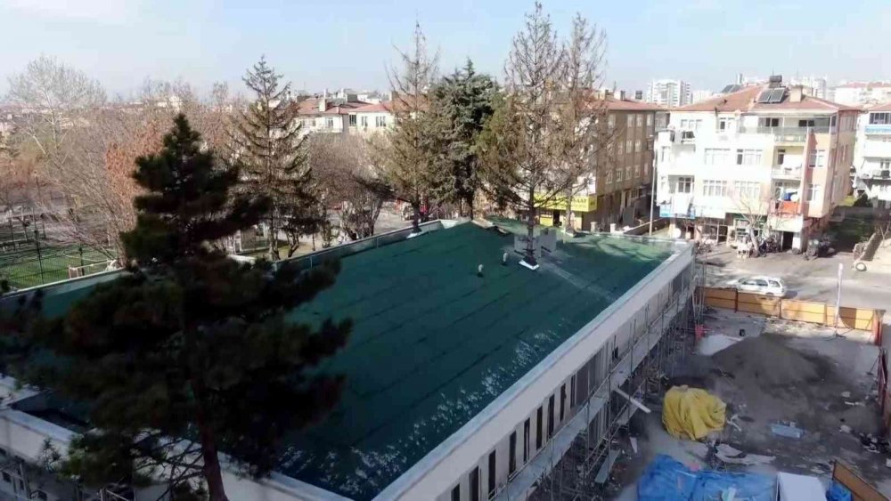 Görenler şaşırıyor, ağaçları kesmedi ortaya bu görüntüler çıktı