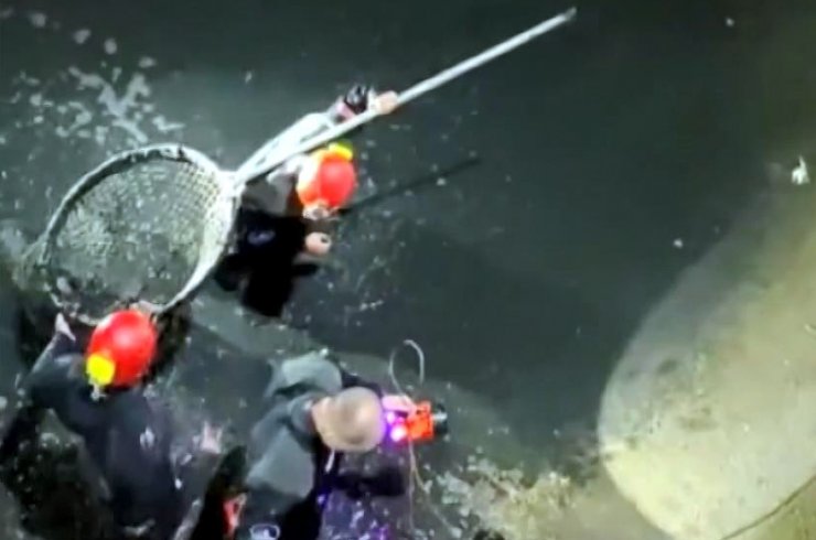 Su kanalına düşen köpeği itfaiye kurtardı