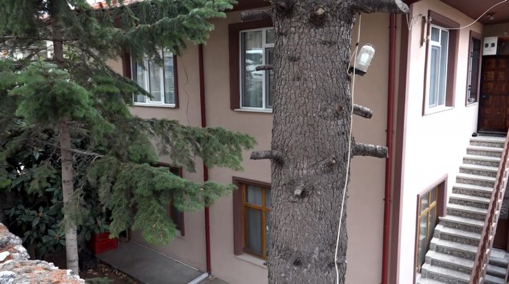 Selver hemşireyi, eşi tüfekle öldürdü