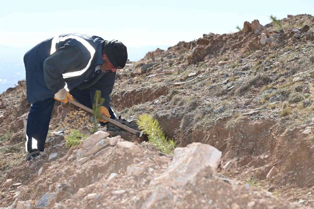 Selçuklu yeşilleniyor