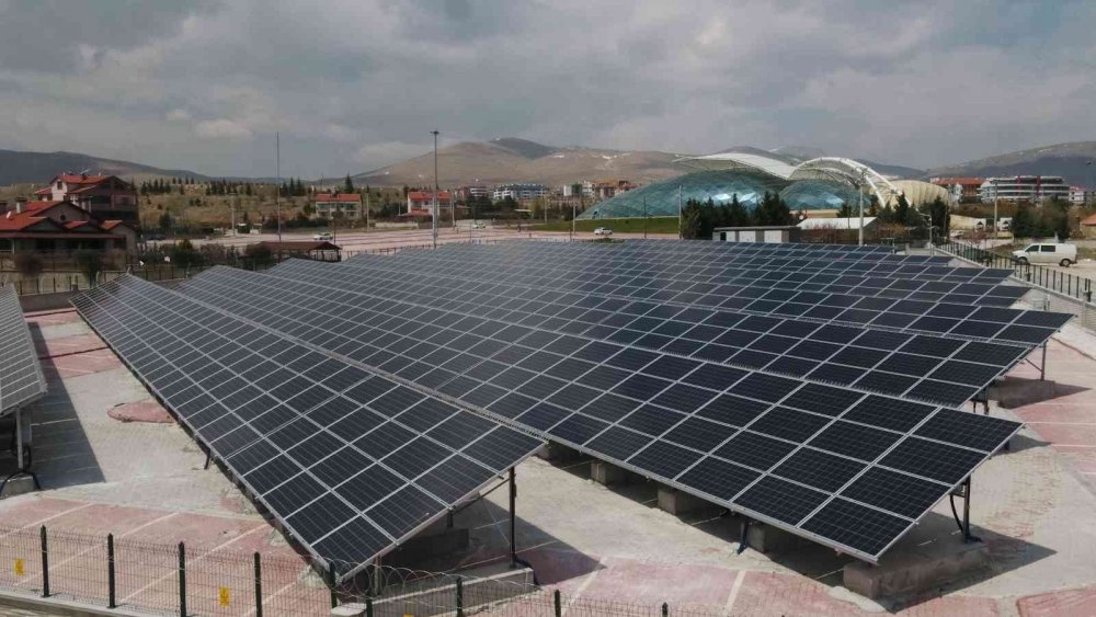 Konya'da bu yöntemle 20 bin 203 ağacın kesilmesi önlendi