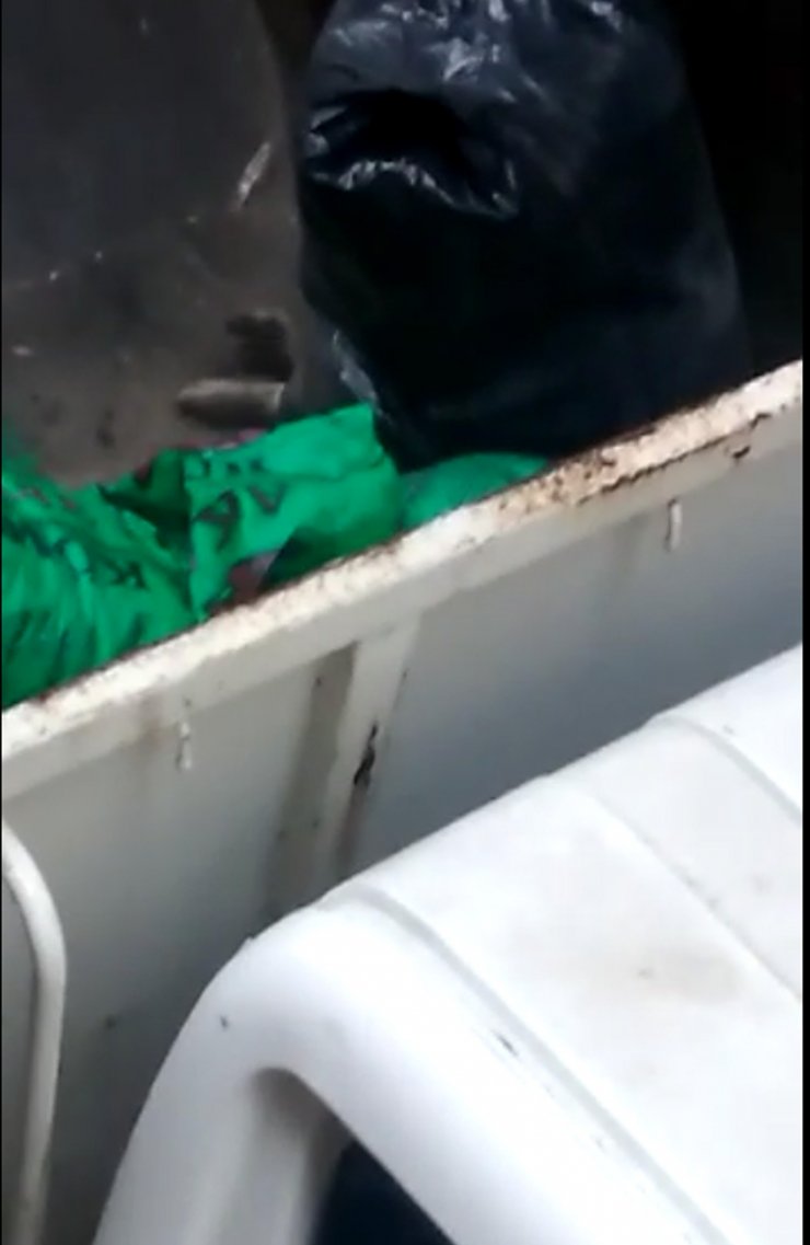 Köpeğin üzerine moloz dökülmesine çifte soruşturma