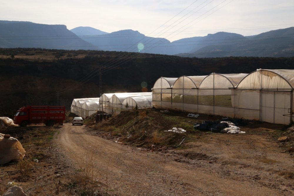 Konyalı girişimci şehir hayatını bırakıp köyünde sera kurdu, hayali ise...