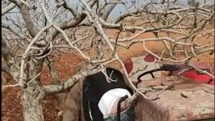 Bahçesini sürerken boynu fıstık dalına takılan 62 yaşındaki çiftçi öldü