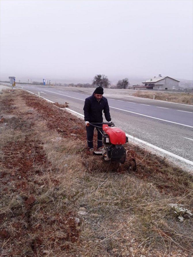 Konya'nın o ilçesinde caddelere lavanta fidanı dikiliyor