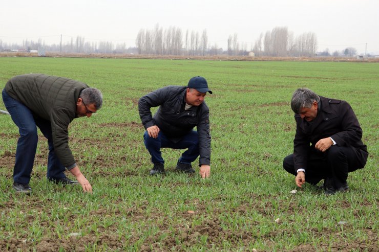Çiftçilerin 'kuraklık' endişesi